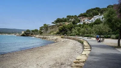 Diğer
