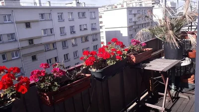Dnevna soba