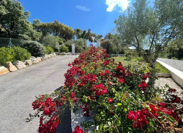 Σαλόνι