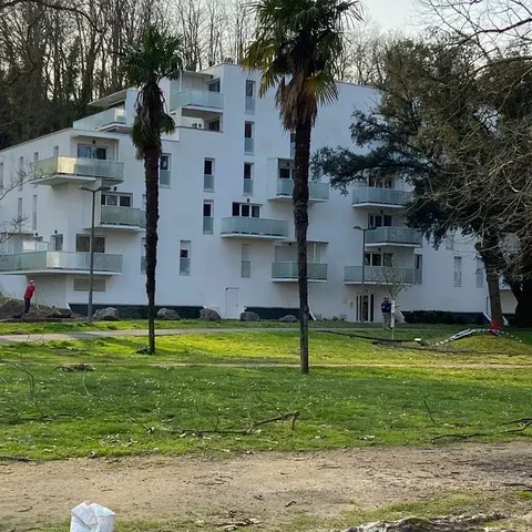 Σαλόνι