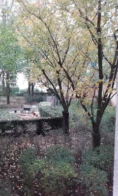 Dnevna soba