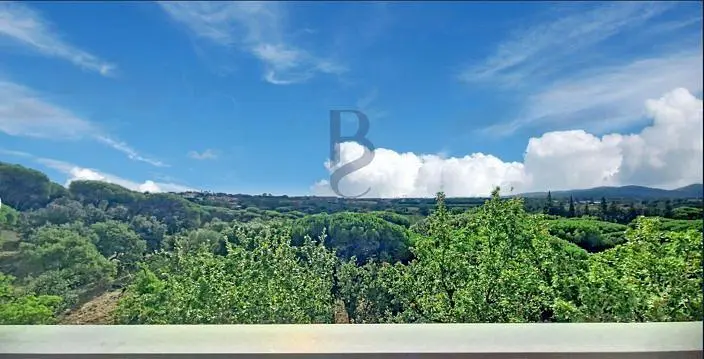 Diğer