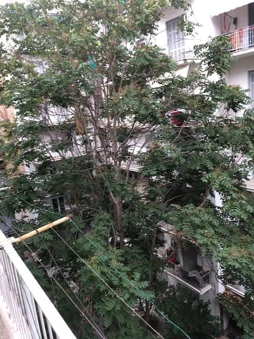 Σαλόνι