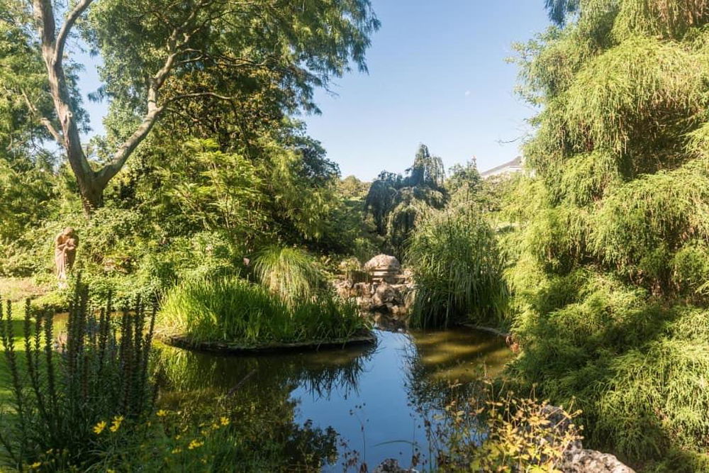 Дневна соба