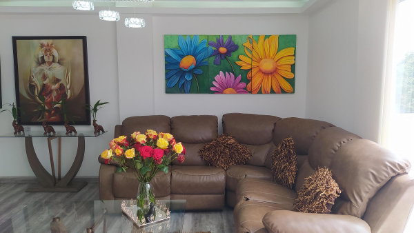 غرفة معيشة