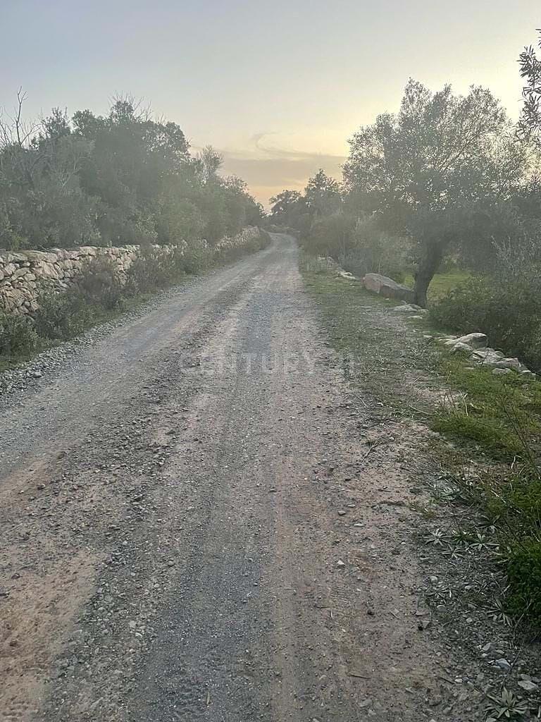 غرفة معيشة