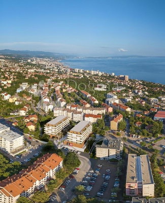Ostatní