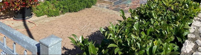 غرفة معيشة