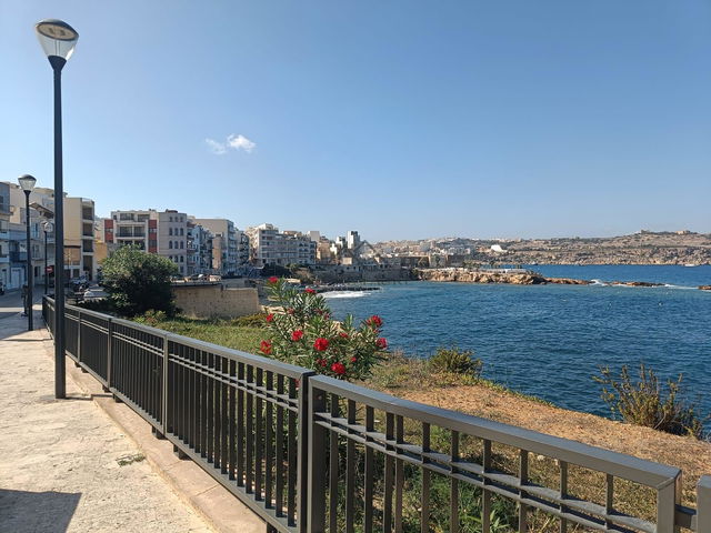 Diğer