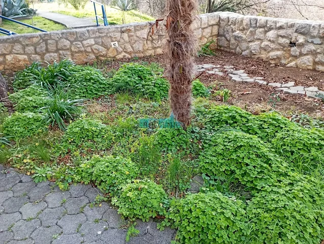 غرفة معيشة