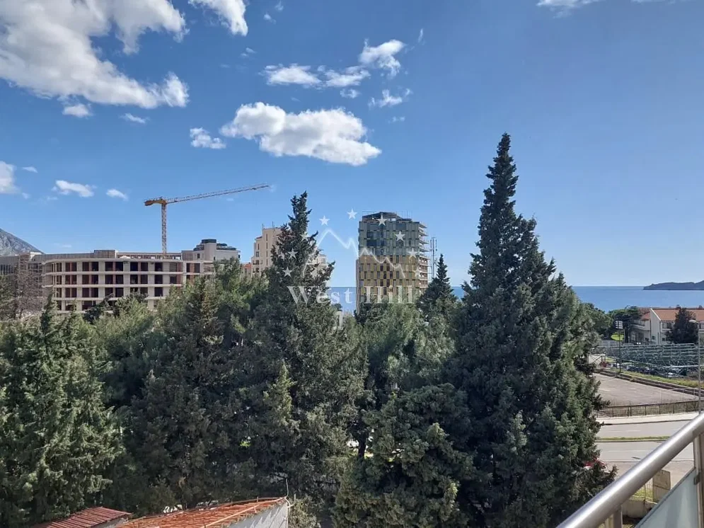 Diğer