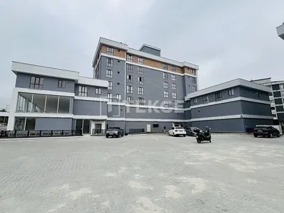 Ostatní