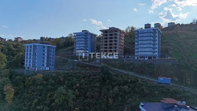 Хол