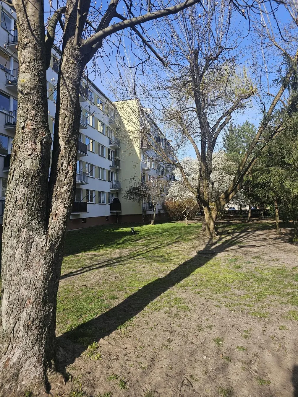 Остало