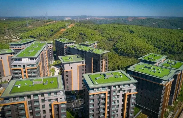 Ostatní