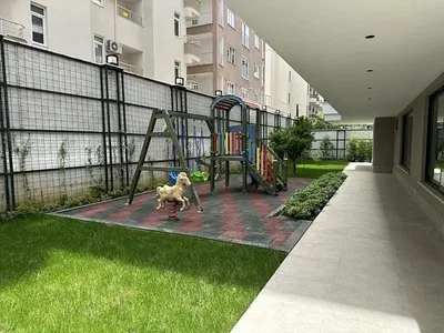 Diğer