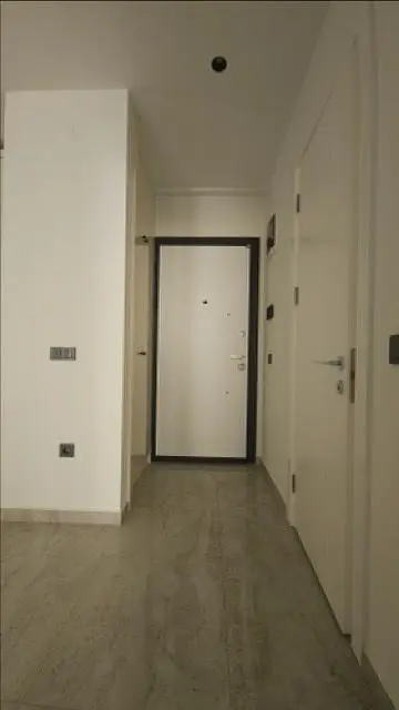 Diğer