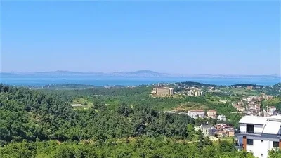 Ostatní