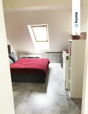 Diğer