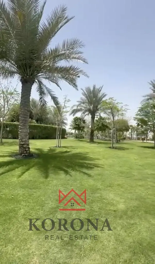 أخرى