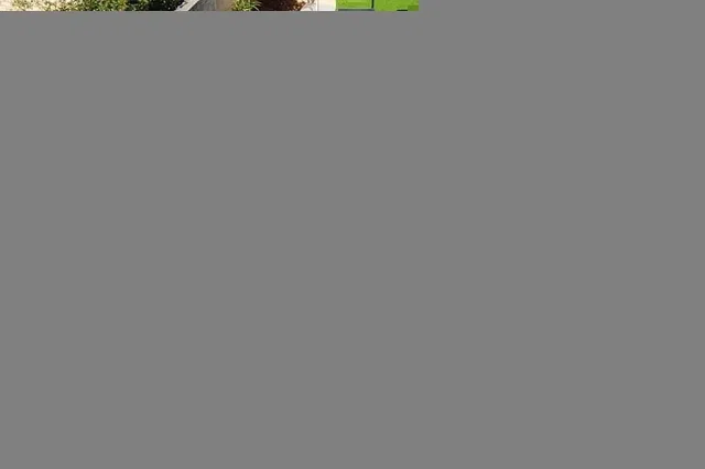 غرفة معيشة