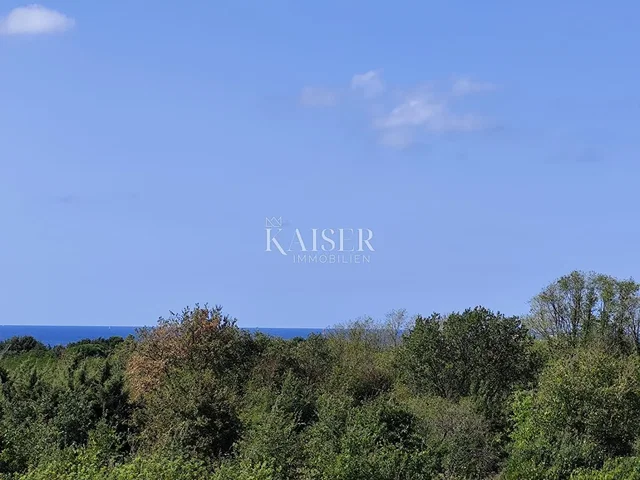 Хол