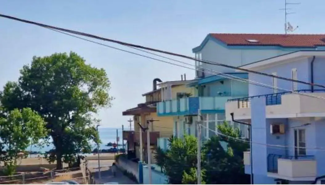 Diğer