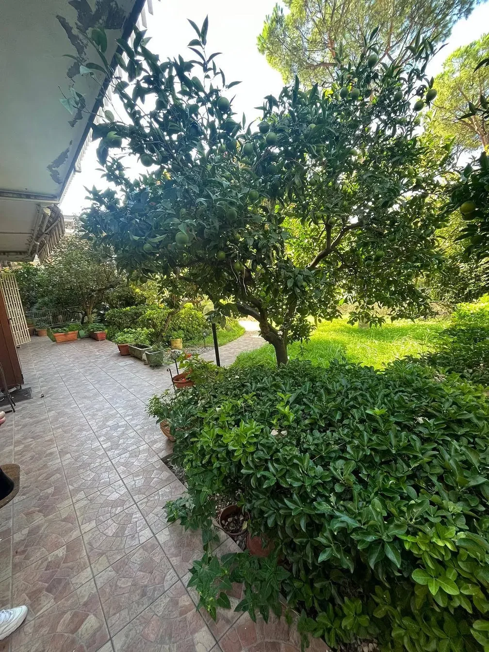 Oturma odası