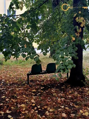 Друго