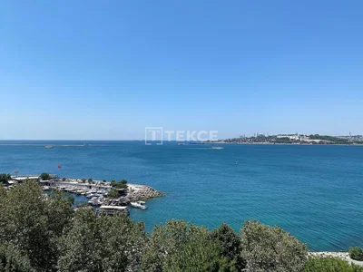 Diğer