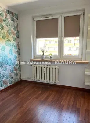 Ostatní