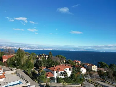 Остало