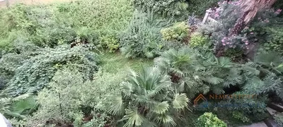Остало