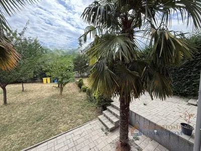 Остало
