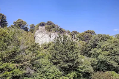 Σαλόνι