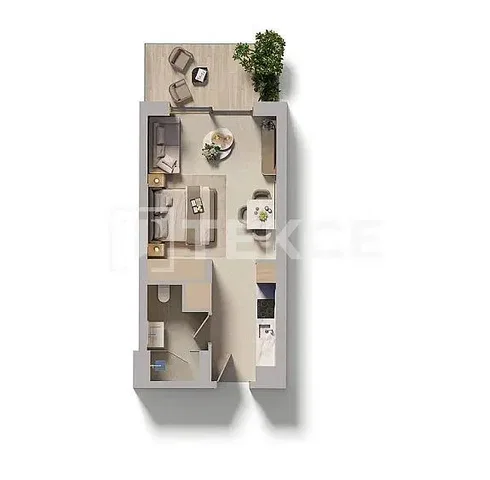 Хол