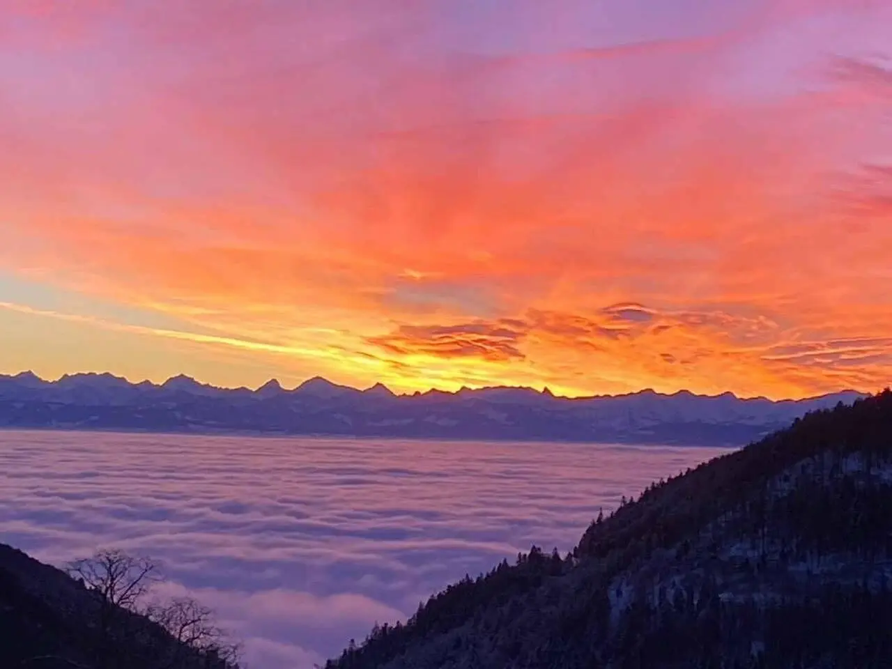 Дневна соба