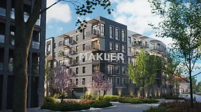 Kitchen; kitchen appliances, wood floor, natural light, modern style, renovated