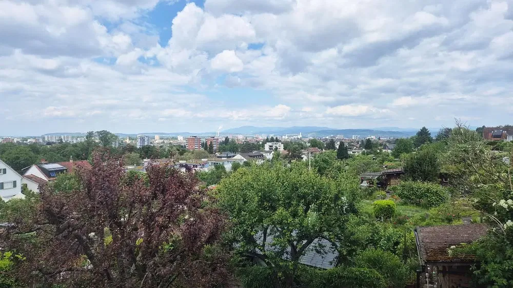 Living room; wood floor, natural light, modern style, high ceiling
