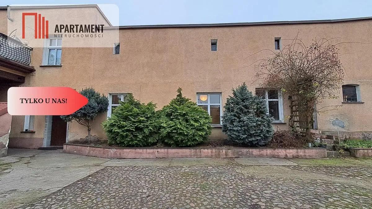 Küche; küchengeräte, holzboden, tageslicht, moderner stil, renoviert