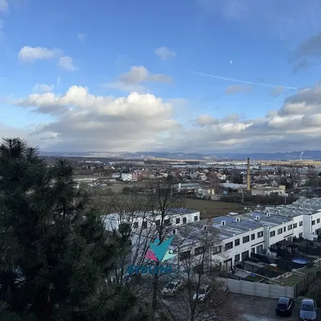 Küche; küchengeräte, holzboden, tageslicht, moderner stil, renoviert