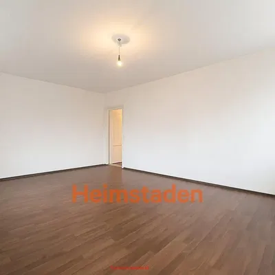 Küche; küchengeräte, holzboden, tageslicht, moderner stil