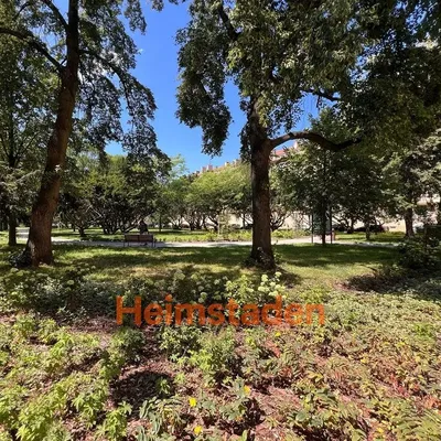 Хол; дървен под, естествена светлина, модерен стил, високи тавани