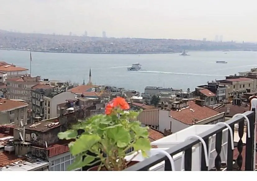 Wohnzimmer; holzboden, tageslicht, moderner stil, hohe decken