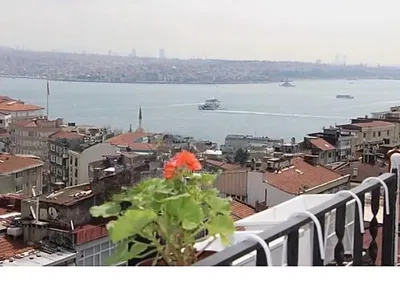 Wohnzimmer; holzboden, tageslicht, moderner stil, hohe decken