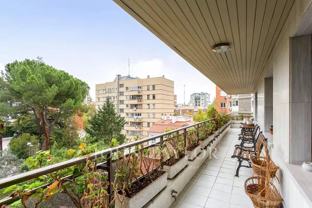 Cuisine; électroménager, parquet, lumière naturelle, style moderne, rénové