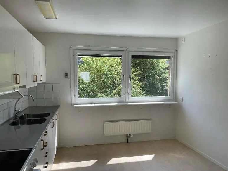 Cuisine; électroménager, parquet, lumière naturelle, style moderne, rénové