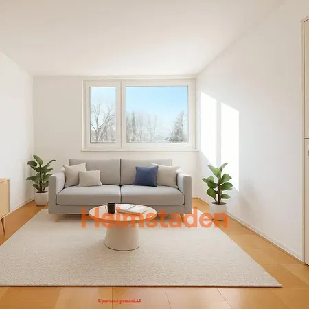 Kuchyně; kuchyňské spotřebiče, dřevěná podlaha, přirozené světlo, moderní styl, po rekonstrukci