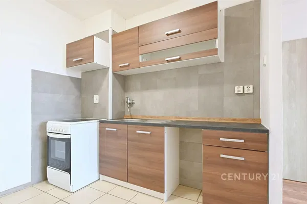 Kitchen; kitchen appliances, wood floor, natural light, modern style, renovated