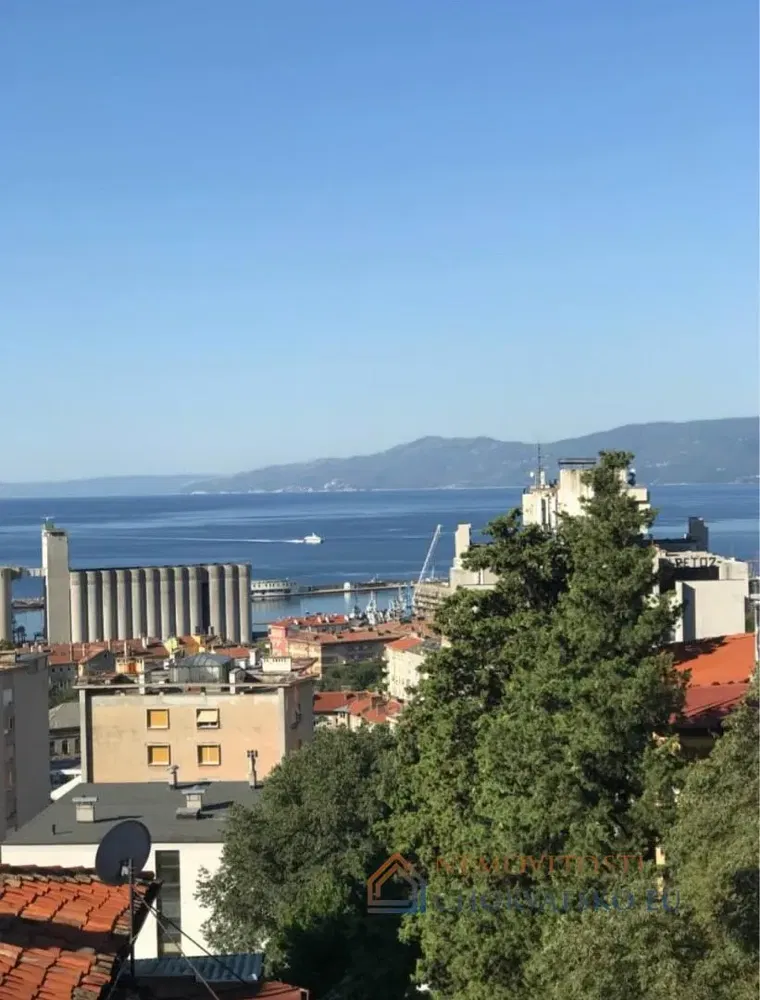 Obývací pokoj; dřevěná podlaha, přirozené světlo, moderní styl, vysoké stropy